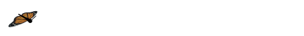 篮球双球训练要注意什么_2